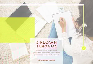 3 flown tuhoajaa