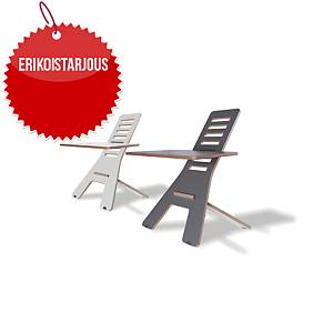 Ergonomiaa ja työhyvinvointia